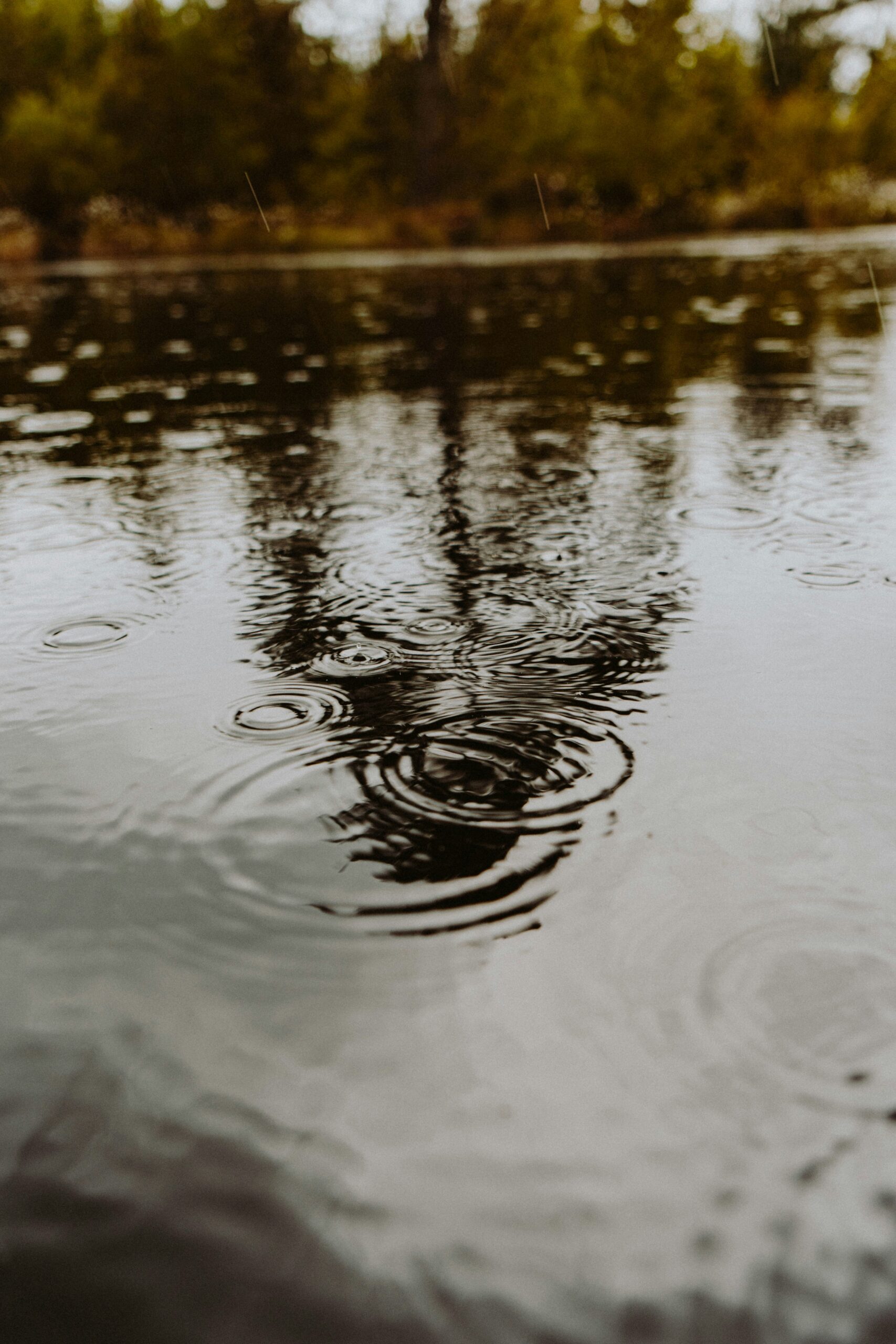 tim-hufner-oDe7yUiNH-w-unsplash